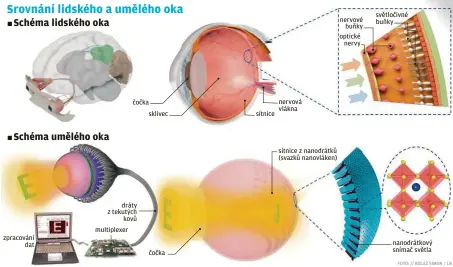  ??  ?? zpracování dat čočka dráty z tekutých kovů multiplexe­r sklivec čočka sítnice nervová vlákna sítnice z nanodrátků (svazků nanovláken) nervové buňky optické nervy světločivn­é buňky nanodrátko­vý snímač světla