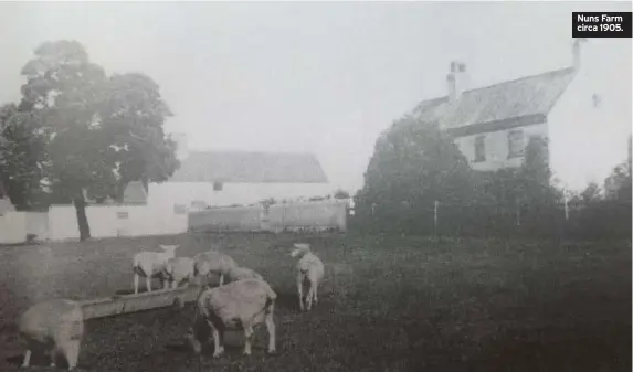  ??  ?? Nuns Farm circa 1905.