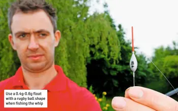  ??  ?? Use a 0.4g-0.6g float with a rugby ball shape when fishing the whip
