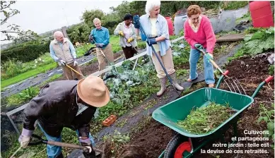  ??  ?? Cultivons et partageons notre jardin : telle est la devise de ces retraités.