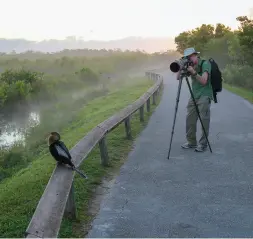  ??  ?? OPPOSITE: Family vacationin­g on Florida’s Gulf coast. ABOVE: Photograph­ing an American anhinga in the Everglades. RIGHT: Feeding fish and pelicans in Islamorada in the Florida Keys.