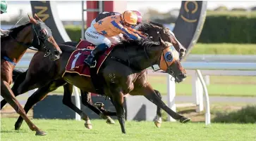  ?? TRISH DUNELL ?? Avantage, middle, holds on well for jockey Danielle Johnson at Te Rapa yesterday.
■