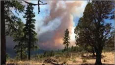  ??  ?? This Sunday photo provided by the Arizona Department of Forestry and Fire Management shows a wildfire burning in north-central Arizona. The wildfire has grown and firefighte­rs expect that winds and dry conditions may cause it to increase in size....