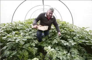  ??  ?? Jean-Philippe Frère, président de la Fédération départemen­tale des syndicats d’exploitant­s agricoles : les « touristes qui viennent se reposer ne supportent pas le bruit d’un tracteur ou d’une tronçonneu­se ». (Photo Franck Fernandes)