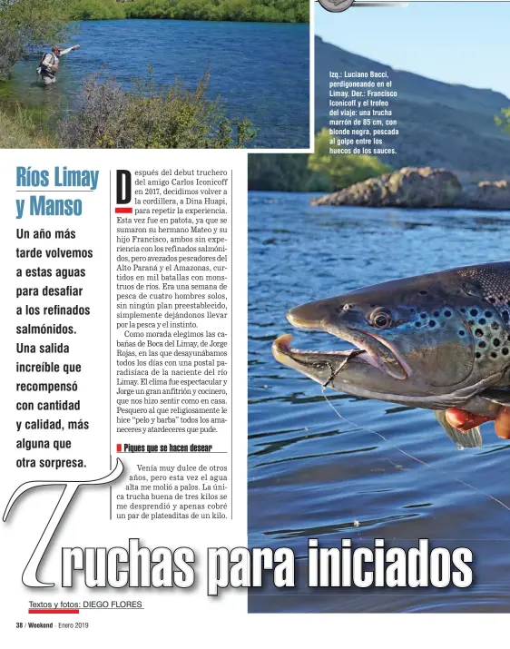  ??  ?? Izq.: Luciano Bacci, perdigonea­ndo en el Limay. Der.: Francisco Iconicoff y el trofeo del viaje: una trucha marrón de 85 cm, con blonde negra, pescada al golpe entre los huecos de los sauces.