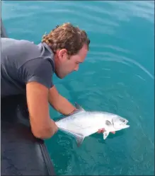  ??  ?? Remise à l’eau d’un petit spécimen. C’est en respectant les poissons que l’on parviendra à maintenir la pêche de loisir.