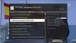  ??  ?? Die Senderlist­e kann vom Nutzer individuel­l gestaltet werden, dabei lassen sich einzellnen Favoritenl­isten in großer Anzahl anlegen