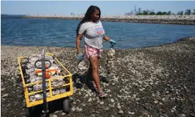  ?? Photograph: Don Emmert/AFP/Getty Images ?? A worker with Billion Oyster Project place oysters in the waters near Brooklyn's Bush Terminal Park in New York.