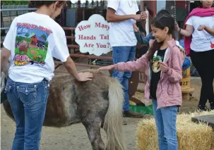  ?? RECORDER PHOTO BY ALEXIS ESPINOZA ?? Aileen Herrera, a second grader at Summit Charter Academy Mathew, takes joy in petting a 25-year-old horse during Farm Day at the Portervill­e Fair on Friday, May 17.