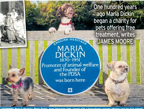 ??  ?? VISIONARY: Born in Hackney, Maria Dickin, inset third from right, toured with a horse-drawn caravan offering care for sick animals