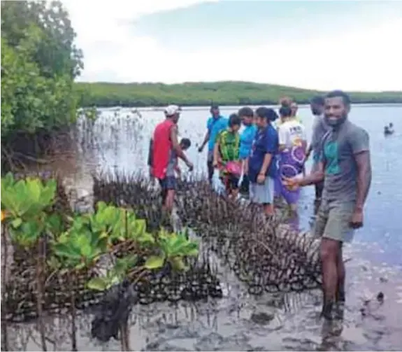  ?? ?? Women and youths of Nakalawaca village building mangrove nurseries back in 2019.