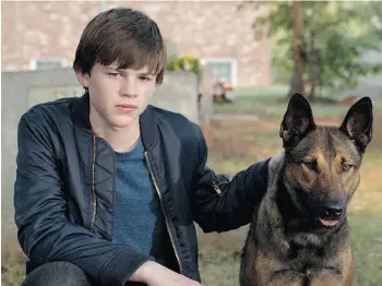  ?? Kent Smith/ Warner Bros. ?? Josh Wiggins stars with Carlos in Max, the story of a dog that comes back from a war zone.