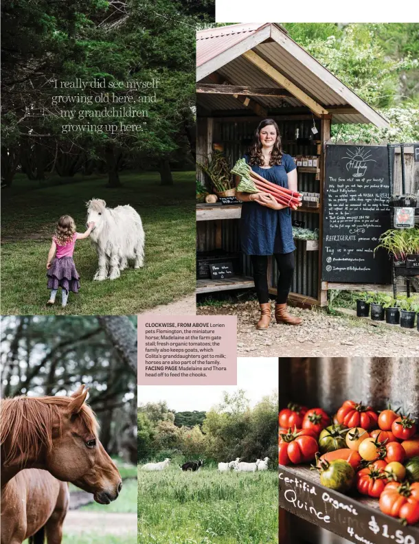  ??  ?? CLOCKWISE, FROM ABOVE Lorien pets Flemington, the miniature horse; Madelaine at the farm gate stall; fresh organic tomatoes; the family also keeps goats, which Colita’s granddaugh­ters get to milk; horses are also part of the family. FACING PAGE Madelaine and Thora head off to feed the chooks.