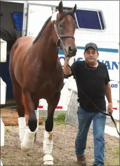  ?? (The Sentinel-Record/Richard Rasmussen) ?? Nadal is led to the barn by assistant trainer Jimmy Barnes on Tuesday at Oaklawn Racing Casino Resort in Hot Springs. Nadal, the morning-line favorite for the second division of today’s Arkansas Derby, is unbeaten in three career starts. His most recent win came at Oaklawn in the Rebel Stakes on March 14.