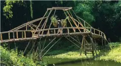  ??  ?? DESA WISATA: Seorang warga melintasi jembatan bambu di pinggir hutan. Desa Sanankerto yang ditumbuhi 65 jenis bambu akan dikembangk­an menjadi museum bambu.