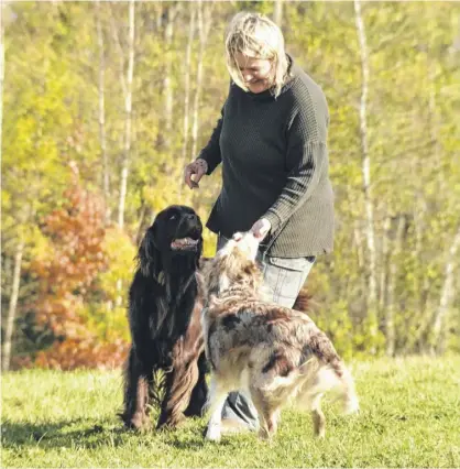 ?? CONTRIBUTE­D ?? Tracy Franken of Beyond Obedience dog training says dogs meet better off-leash, but it’s always a risky situation, as you have less control.