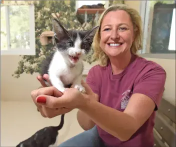  ?? Dan Watson/For The Signal (See additional photos at signalscv.com) ?? Volunteer Carissa Barnes holds a kitten at the Los Angeles County Castaic Animal Care Center.