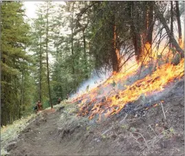  ?? Special to The Herald ?? Crews monitor a controlled burn on the Keremeos Creek wildfire, which was pegged at 6,700 hectares on Wednesday.