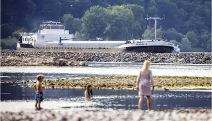  ??  ?? La disminució­n del cauce en los ríos dificulta la navegación y la falta de oxígeno ha empezado a asfixiar a los peces.