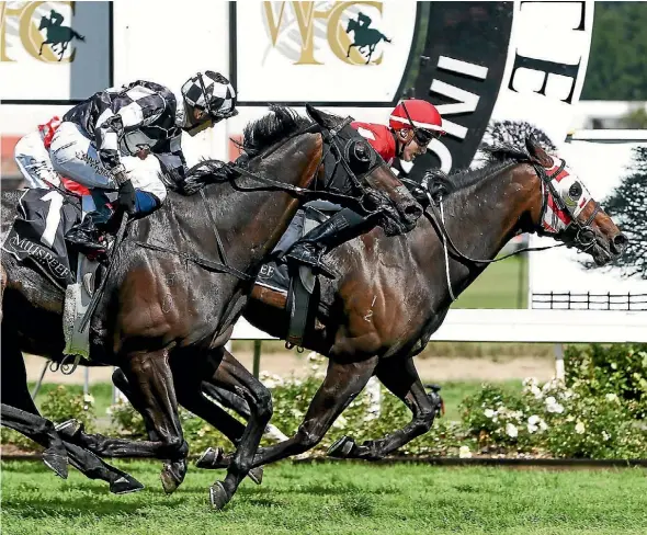  ??  ?? Enzo’s Lad, ridden by Sam Weatherley wins the JR & N Berkett Telegraph.