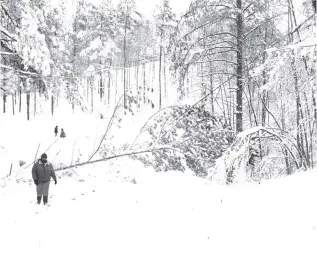  ?? CONTRIBUTE­D PHOTO BY KEN AND KAREN SEBRING ?? Karen Sebring walks through more than a foot of snow of an Apison, Tenn., yard on March 13, 1993, during the blizzard of 1993. VISIT TIMESFREEP­RESS.COM FOR A TIMELINE FROM THE BLIZZARD.