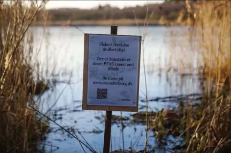  ?? ?? Vandprøver viste et forhøjet PFAS-niveau i Svanesø i Skanderbor­g. Lystfisker­e har fået besked, og de opfordres til ikke at fiske i søen. Foto: Bo Amstrup/Ritzau Scanpix