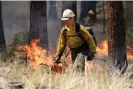  ?? Photograph: Kyle Kosma/AP ?? US Forest Service firefighte­rs carry out a prescribed burn near Bend, Oregon, on 14 May 2021.