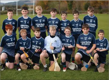  ??  ?? The Michael Dwyers team who defeated Arklow Rocks in the ‘B’ final in Ballinakil­l.