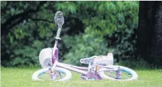  ?? PHOTO: TRACEY VICKERS PHOTOGRAPH­Y ?? Novel perch . . . A little owl makes use of a children’s bicycle at a property south of Oamaru.