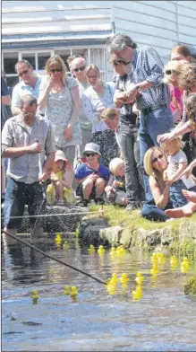  ?? FM2614620 ?? Crowds watch ducks go down stream