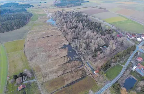  ?? FOTO: GEMEINDEVE­RWALTUNG ?? Auf dieser Aufnahme mit einer Drohne ist erkennbar, wie sich die Bibertätig­keit in Betzenweil­er ausgewirkt hat. Das Wasser hat sich Richtung Miesach (oben) gestaut. Die Wiesen sind vernässt und haben sich braun verfärbt. Am unteren Bildrand ist das...