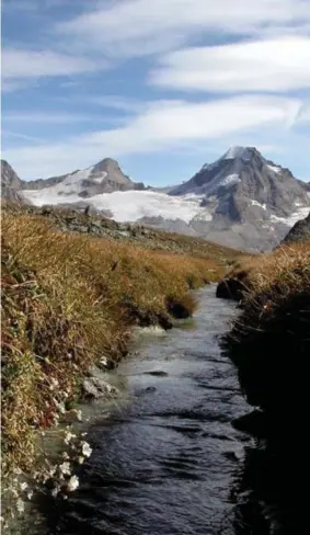  ?? ?? Due immagini dal sito ufficiale del Parco Nazionale del Gran Paradiso.
Il 3 dicembre 1922 veniva istituito il primo parco italiano, per conservare alle generazion­i presenti e future, gli ecosistemi