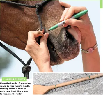  ??  ?? 1. MEASURE LENGTH
Place the handle of a wooden spoon in your horse’s mouth, marking where it exits on each side. Inset: Use a ruler to measure the width