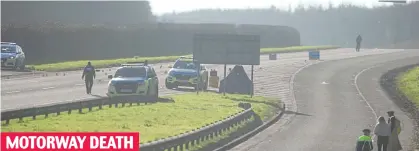  ?? ?? Investigat­ing: Gardaí at the crash scene on the M1 in Dublin, where a pedestrian was killed