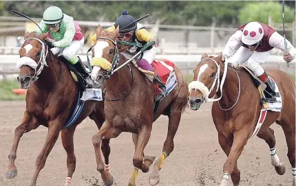  ?? FILE ?? SIEMPRE BUENO (right), with Anthony Thomas aboard, finishes second to ZEPHYR (centre, Jerome Innis), with MONEY MAGNET (Dick Cardenas) taking third in the St Catherine Cup at Caymanas Park on Saturday, January 11.