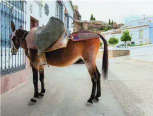  ?? FOTOS: TURISMO DE ANDALUCÍA ??