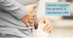  ??  ?? Gastrin triggers the growth of cancerous cells