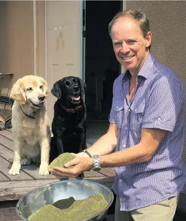  ?? Supplied ?? True Leaf founder and CEO Darcy Bomford believes in the healing power of hemp. His company’s True Leaf Pet supplement­s for dogs provide a multi-country revenue stream in advance of receiving its licensed producer approval.