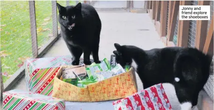  ??  ?? Jonny and friend explore the shoeboxes