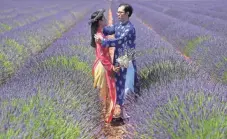  ?? BORIS HORVAT, AFP/GETTY IMAGES ?? Wearing traditiona­l Vietnamese wedding outfits, Tu Lam Thanh and Nguyen Thi Tuyet Hai of Vietnam inhale the beauty of a lavender field in Valensole, France, on Sunday.