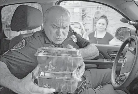  ?? Marie D. De Jesús photos / Houston Chronicle ?? HPD Officer Al Yañez accepts a gift of strawberri­es from an immigrant resident in his patrol area of southeast Houston.