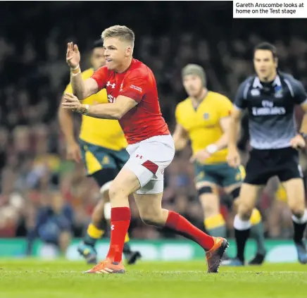  ??  ?? Gareth Anscombe looks at home on the Test stage