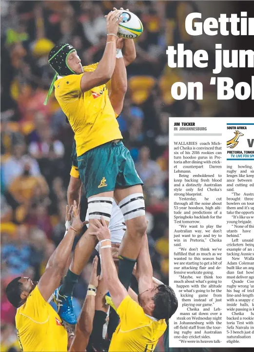  ?? Picture: AAP IMAGE ?? Rookie lock Adam Coleman stands tall in the lineout and the Wallabies will be banking on him again for more quality ball.