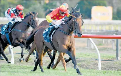  ?? Photo / Race Images ?? Queen Of Diamonds may return in the $75,000 Rich Hill Taranaki Breeders at Hawera tomorrow.