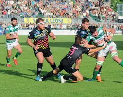  ??  ?? Challenge Harlequins, Agen e Grenobole in girone con i Leoni biancoverd­i