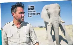  ??  ?? TRUE GENT
Levison on elephant trail