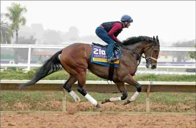  ?? BARBARA D. LIVINGSTON ?? A win in the Distaff would give Shedaresth­edevil three Grade 1 victories this year.