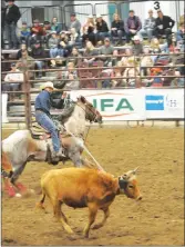  ?? ?? Billy Potts from Brockett, the header in the team roping team of himself and heeler Jay Louis from Vernon BC had his hands full with calf April 23.