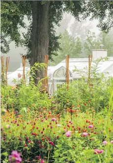  ?? ERIK KVALSVIK ADRIAN HIGGINS/THE WASHINGTON POST ?? By late summer, the cutting garden at Hillwood Estate, Museum and Gardens is lush. The dahlias are supported by bamboo teepees.