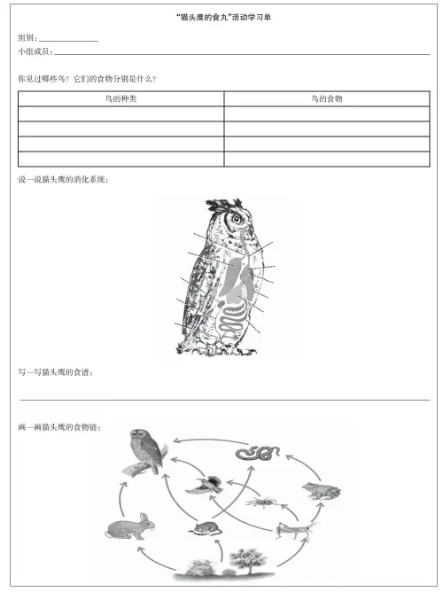  ??  ?? 图 4 “猫头鹰的食丸”活动学习单